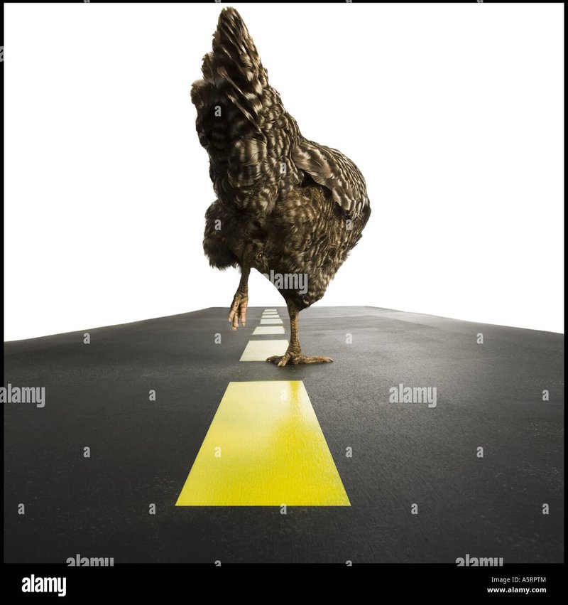 Descoperă Miza Maxima cu Chicken Road Jocul de Curte Popular în Romania